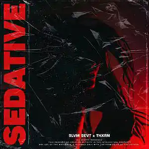 Picture for song '"Sedative" - DaBaby x Lil Pump Type Beat' by artist 'RASSPBERRY'
