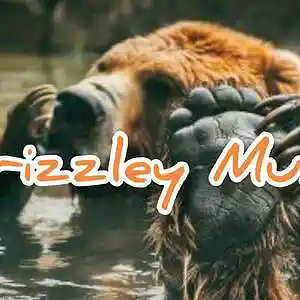 Picture for song 'The Beast' by artist 'GrizzleyMusikRecords'