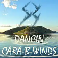 Picture for song 'DANCIN CARA-B-WINDS' by artist 'Resonant Beats'