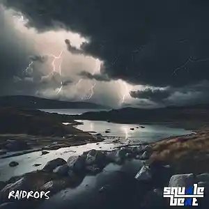 Picture for song 'RAINDROPS' by artist 'SqualeBeat'