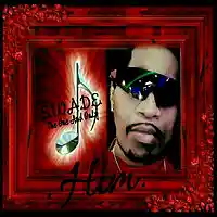 Picture for song 'HIM!' by artist 'S.W.A.D.E. (THE ONE AND ONLY)'