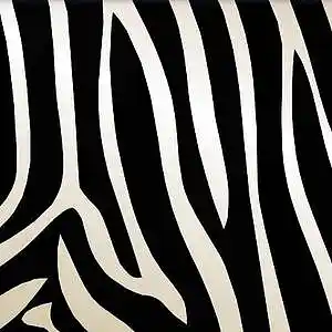 Picture for song '"Zebra" / Old School Boombap Beat' by artist 'ZRK'