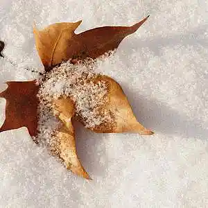 Picture for song 'SixtHells Type beat - Autumn Snow' by artist 'ClanFromOne'