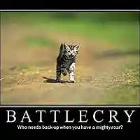 Picture for song 'battle cry' by artist 'dennis solinger'