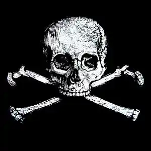 Picture for song 'RAVENS' by artist 'HOLLYWOOD LEGEND PRODUCTIONS'