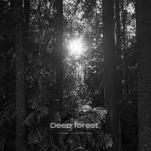 Picture for song 'Deep Forest' by artist 'Netuno Soundtracks'