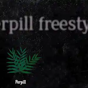 Picture for song 'Perpill Freestyle' by artist 'Perpill'