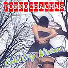 Picture for song 'There She Goes' by artist 'Pornochachas'