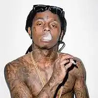 Picture for song 'LIL WAYNE DIPSET SAMPLE' by artist 'Production by TrakBeatz'