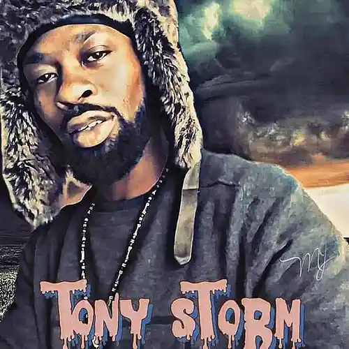 Picture for song 'THE BOSS'S LADY' by artist 'Tony Storm ATTRACTIVE MUSIC'