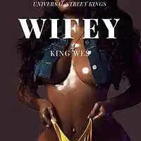 Picture for song '08-WIFEY' by artist 'UNIVERSAL STREET KINGS'