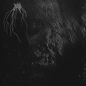 Picture for song 'Fill - SuicideboyS type beat' by artist 'VXAQ'