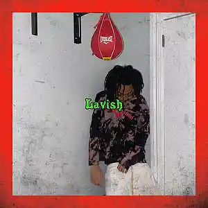 Picture for song 'Lavish' by artist 'Zaysace P'