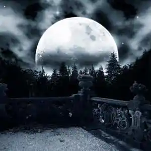 Picture for song 'Balcony (Tank x Chris Brown Type) - Devezin.com' by artist 'Devezin'