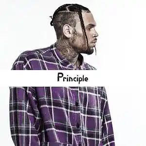 Picture for song 'Principle (Chris Brown Type Beat) - Devezin.com' by artist 'Devezin'