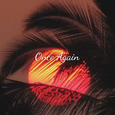 Picture for song 'Once Again' by artist 'JuSaMeLoDy'