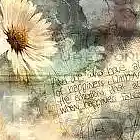 Picture for song 'Don't worry (feat. CelticFolk)' by artist 'This is MarcMyWordz'