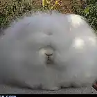 Picture for song '___*WHITE FUZZ*___ (Free DL)' by artist 'MoSound Productions'