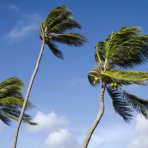 Picture for song 'Acapulco (Prod by Providence)' by artist 'Providence Beats'