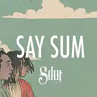 Picture for song '*NEW* Say Sum (FREE DL + BUY 1 GET 1 FREE)' by artist 'SdotFire'