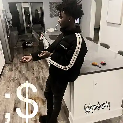 Picture for song 'Babystaydown + Pradabagshawty Type Beat "PANIC"' by artist 'SlymShawty'