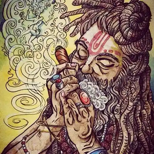 cover pic