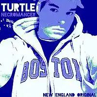 Picture for song 'Pidgy' by artist 'Turtle Necromancer'