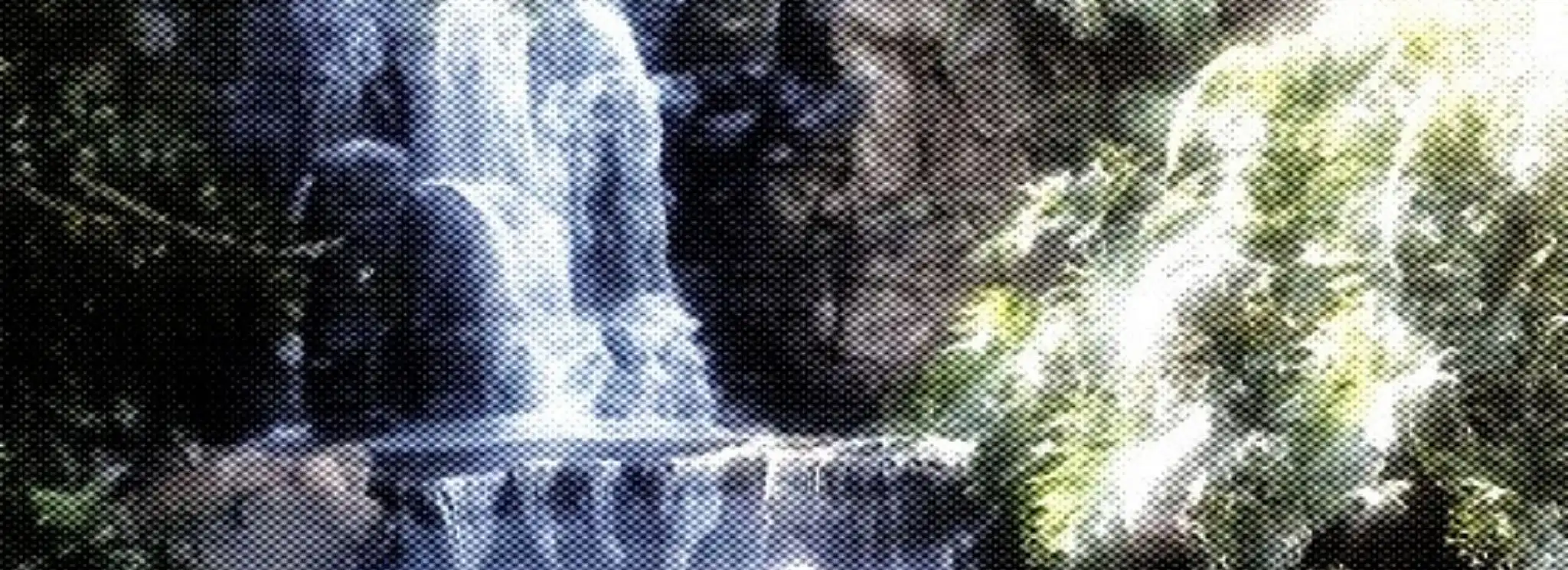 cover pic