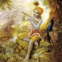 Picture for song 'Ohm Namah Bhagavati Vasudevia' by artist 'Ananta One Man Bhajan band'