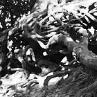 Picture for song 'Sunny Roots' by artist 'biG-AppLe Productions'