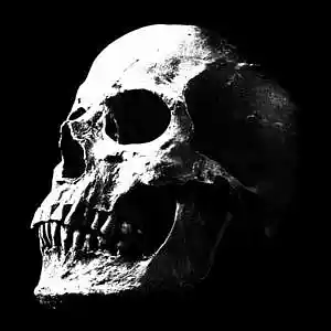 Picture for song '[GLO GLO] - Glorilla Type Beat x Underground Rap T' by artist 'B-MAN Beat'