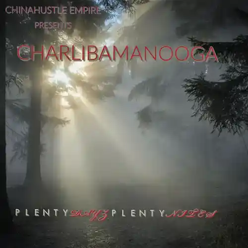 Picture for song 'PLENTY DAYZ PLENTY NITES' by artist 'CHINAHUSTLE EMPIRE'