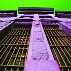 Picture for song 'Your Face (In Formation Nation)' by artist 'Cannabis Sativa'