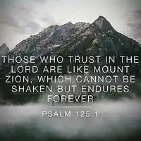 Picture for song 'PSALM 125 Trust In The Lord (Peace Be Upon Israel)' by artist 'DANNY DUKE'