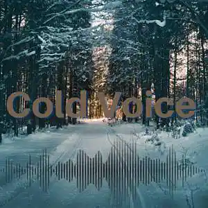 Picture for song 'Cold Voice' by artist 'EaselDBeats'