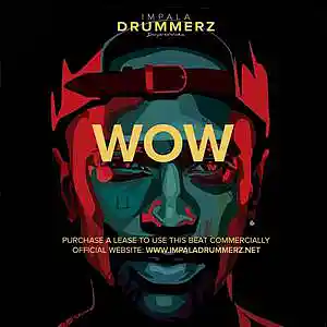 Picture for song 'WOW' by artist 'IMPALA DRUMMERZ'