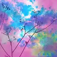 Picture for song 'Tormenta D'Amour ((Stereo))' by artist 'Johanna Renfro'