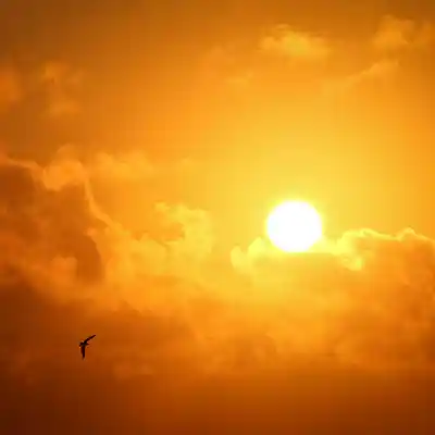 Picture for song 'Put Your Trust In Jesus' by artist 'John Matteson'