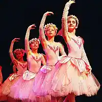 Picture for song ''Dance Rehearsal'' by artist 'Nadia Cripps'