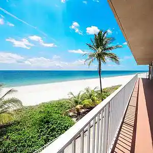 Picture for song 'NK- Paradise(Original Tropical house Mix)' by artist 'NK( Nat)'