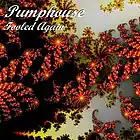 Picture for song 'Fooled Again' by artist 'Pumphouse'