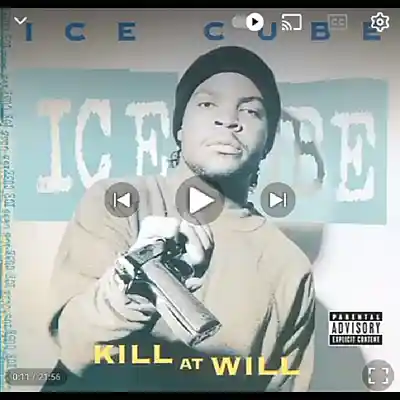 Picture for song 'killatwillicecubefeatwhiteyfeatchuckddflavorflav' by artist 'Eminem 2'