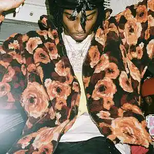 Picture for song 'pokerface!' by artist 'prod. enzo'