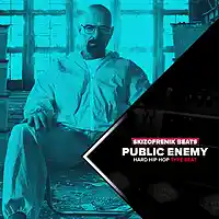 Picture for song 'Public Enemy' by artist 'SkizoFrenikBeats'