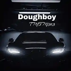 Picture for song 'Doughboy' by artist 'TMBM313'