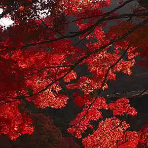 Picture for song 'Gunna x Travis Scott Type Beat - String World' by artist 'WHAT?BOYBEATS'