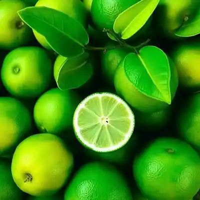 Picture for song 'Lime Light' by artist 'Anac On The Beat'