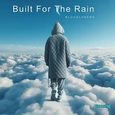 Picture for song 'Built for The Rain' by artist 'The Cipher Fang'