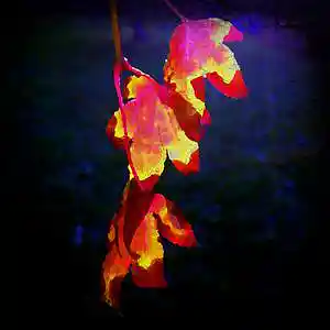 Picture for song 'Menage A Trois For Piano, Flute, Guitar' by artist 'Hilbert Space'