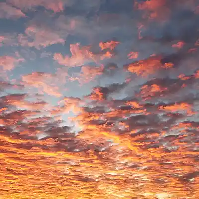 Picture for song 'Saloma' by artist 'Ignacio Alfaye'